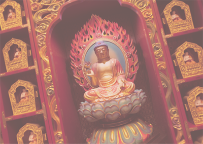 找一个接码短信平台